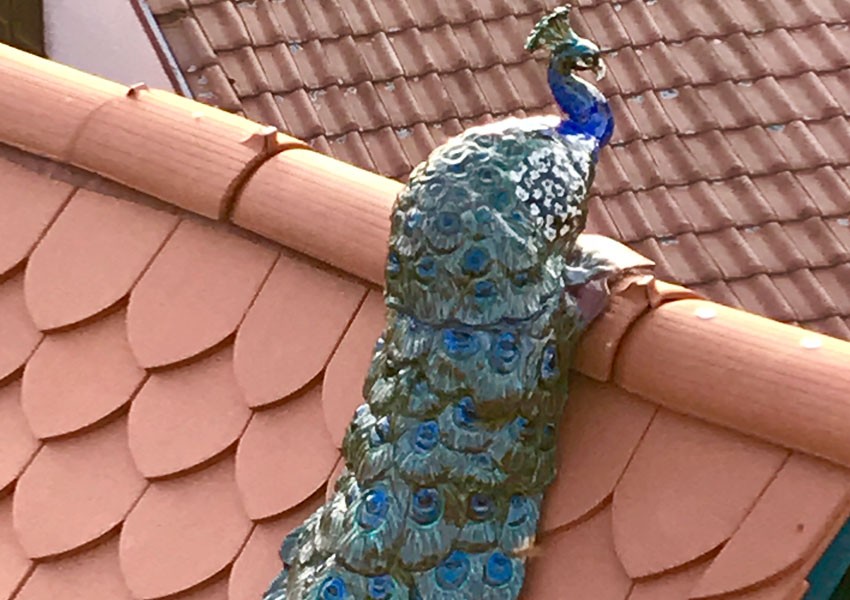 Pfau aus Keramik auf Dach